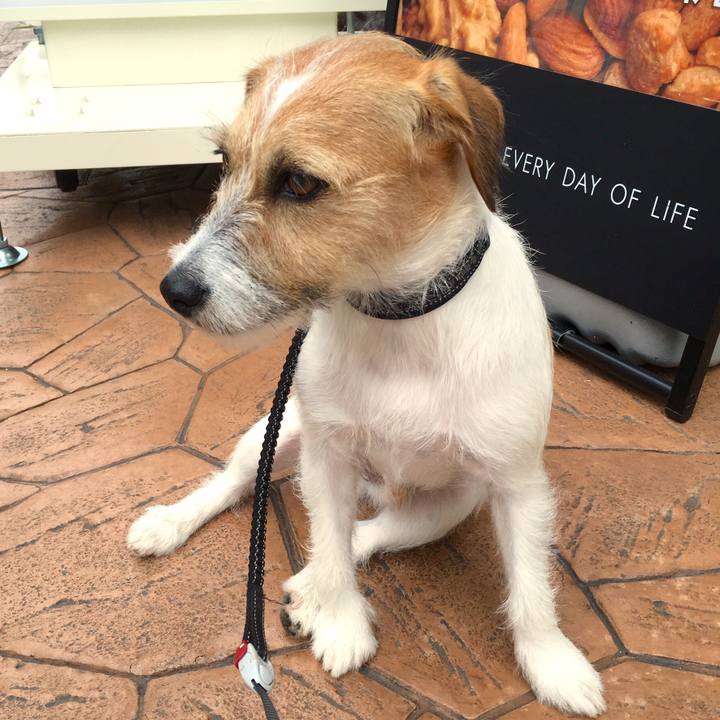 5c75d012 cfd8 4ced a52c 30b28a9f4ec9