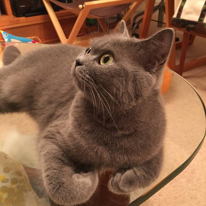 5c75d6c0 b2c4 413b bdd6 5b94af5328e2