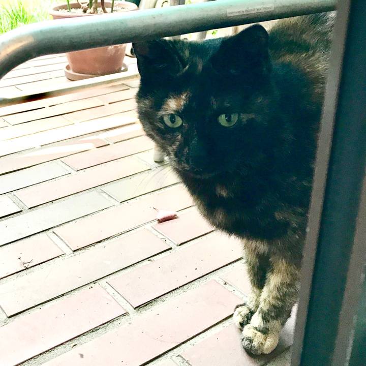 5c75f679 ceaa 4b7f 8c4c 038d464504cc