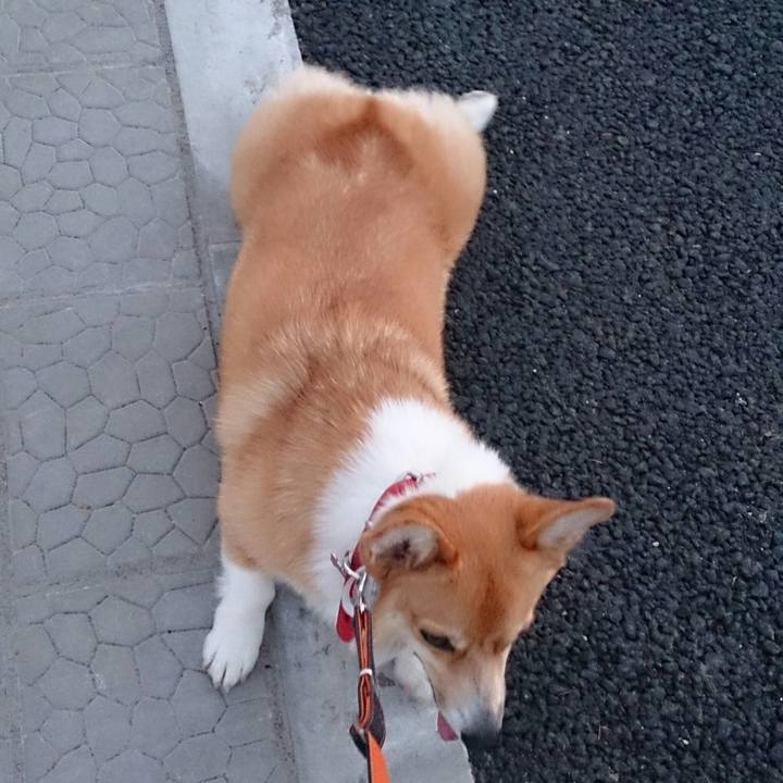 5c7602c3 77a5 409f 92b2 0ff4aa7691f2