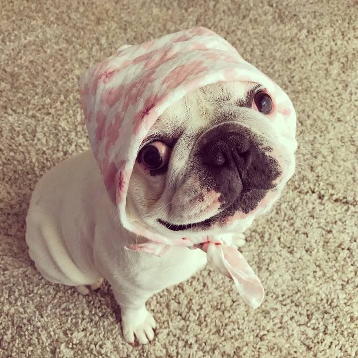 5c760f4d 4293 4c23 9550 1058794d7901