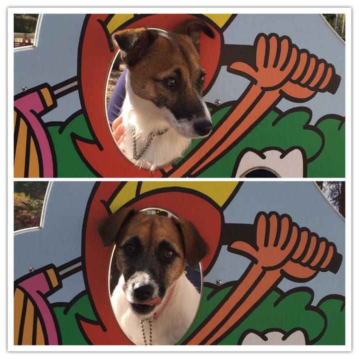 5c76296c 661d 4232 ad56 d917a26dc96f