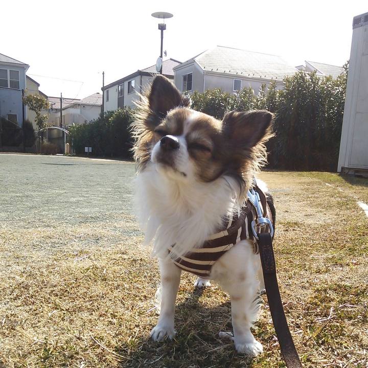 5c762f1f 701e 4930 ba3a a9550c5f5914