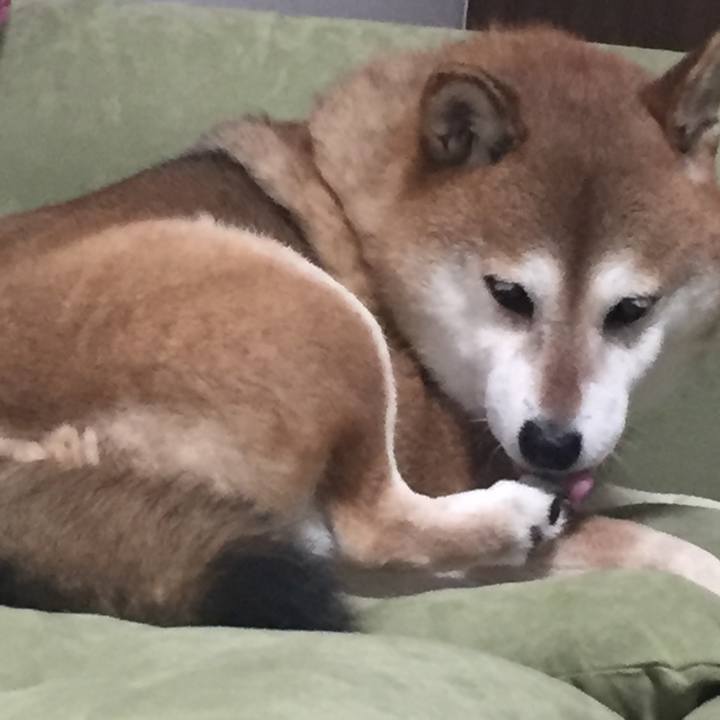 5c76e851 e31d 4a44 8879 20aad1cef31b