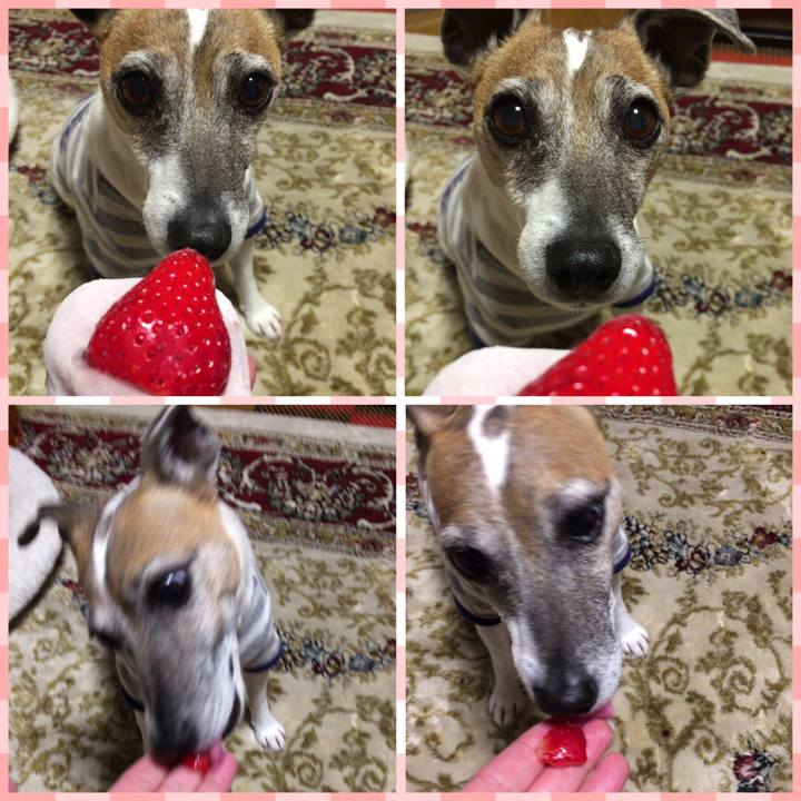 5c7706fa 3f59 4e2f a12e 3de5b8a19f04