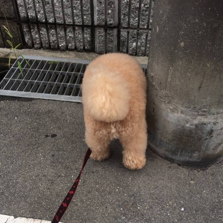 5c776b06 47cf 4a75 b3e8 8e14132b1690