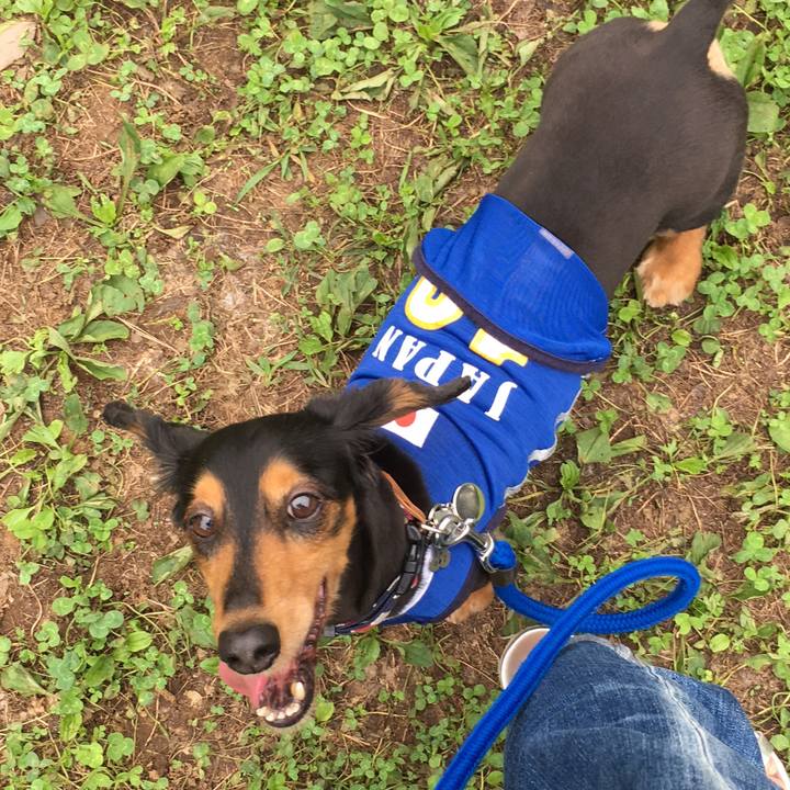 5c788c54 a19d 4d7e bbad b185f8295a62