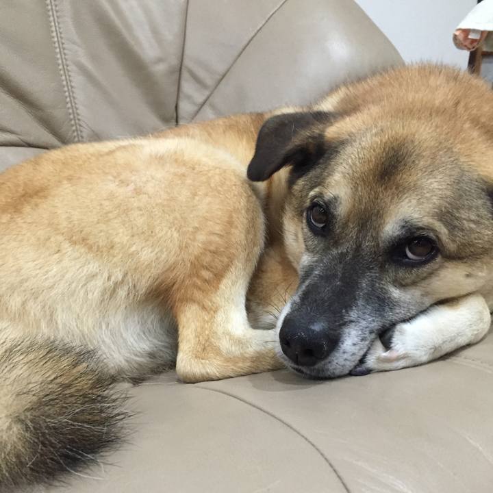 5c789b88 ec1b 44d9 9f8d 81716eabdc3a