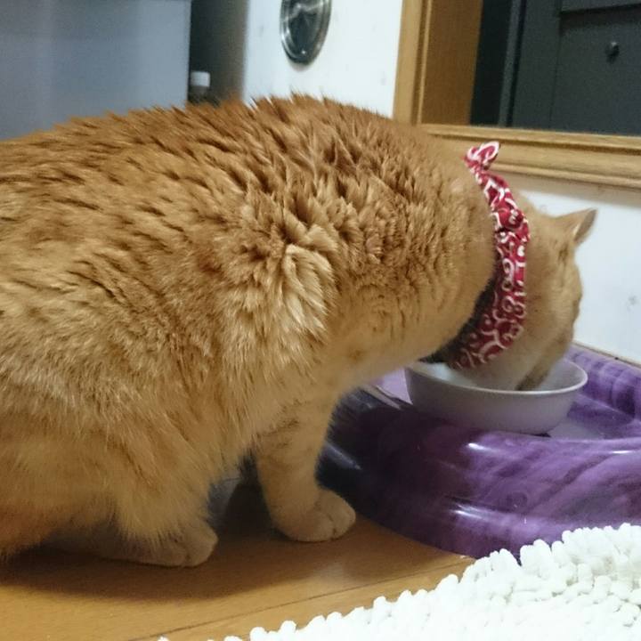 5c78fa1d 3125 4d2a 97f8 7886ddee6e86