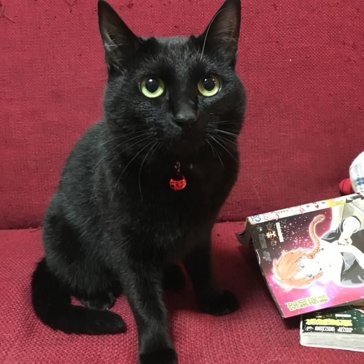 5c791bad 9e42 42b5 9972 6a3eddb0c949