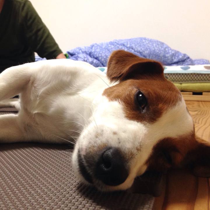 5c7a3b2e 69c2 4ab5 8f3d 80a12c0656ab