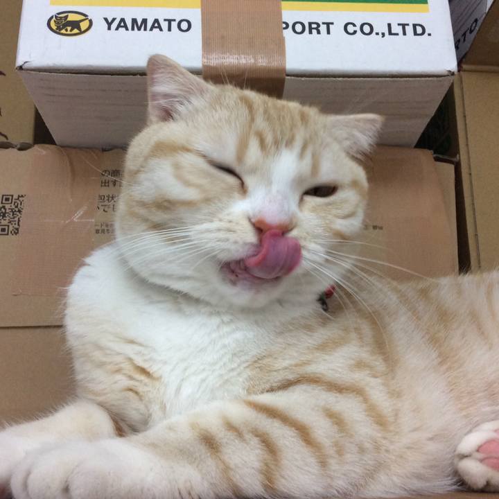 5c7a3c52 bf04 4edb 8e5f efd5d8dbc11e