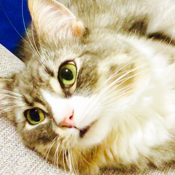 5c7b8d1c 9a26 4ca4 a54d b8df0147fd76