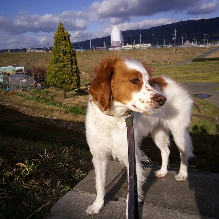 5c7c94d2 2edd 44a6 8d6f c04b02fab0af