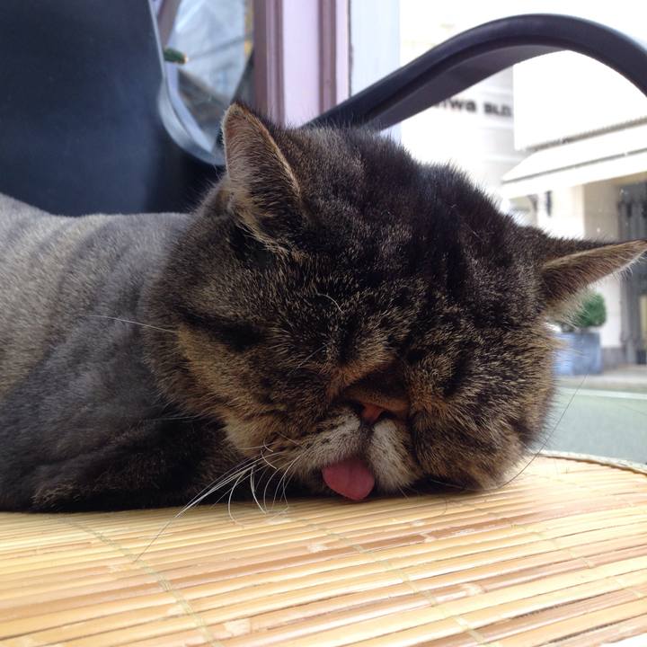 5c7cd337 b216 4c18 bc0a fae6412451af