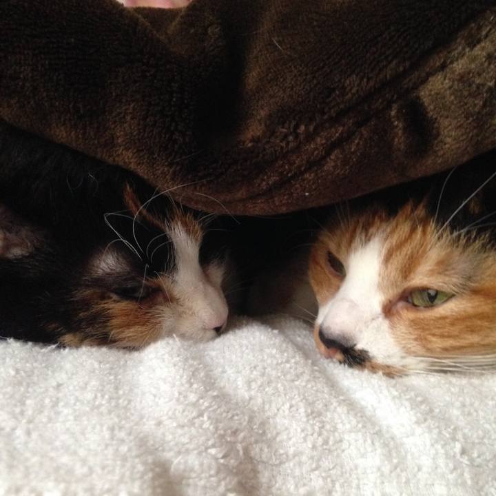 5c7cfd41 814d 41f0 9054 aaf300d0a27a