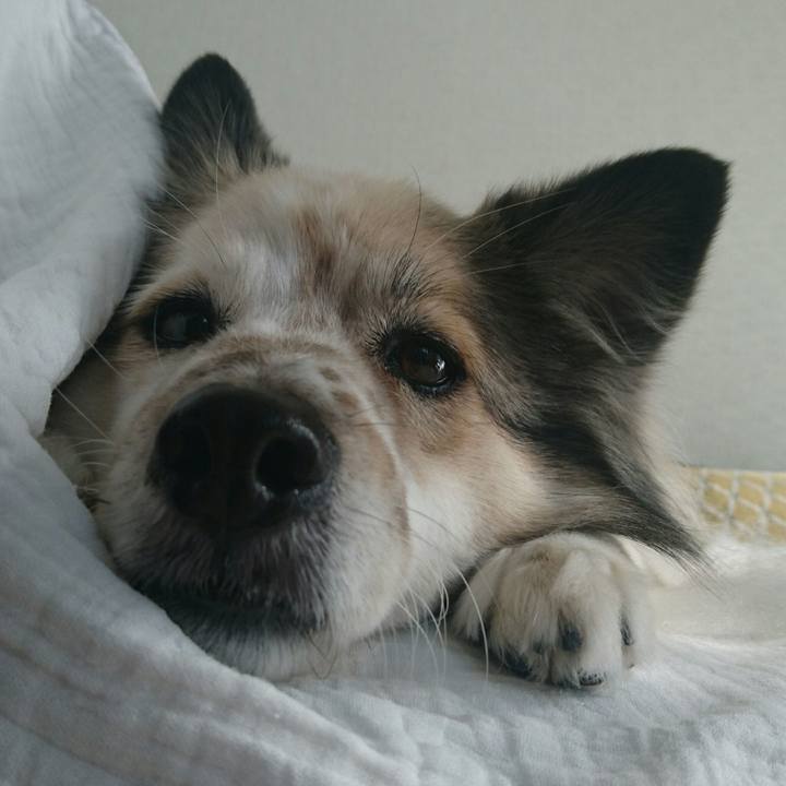 5c7d0508 5c32 4617 b545 cc508d769ace