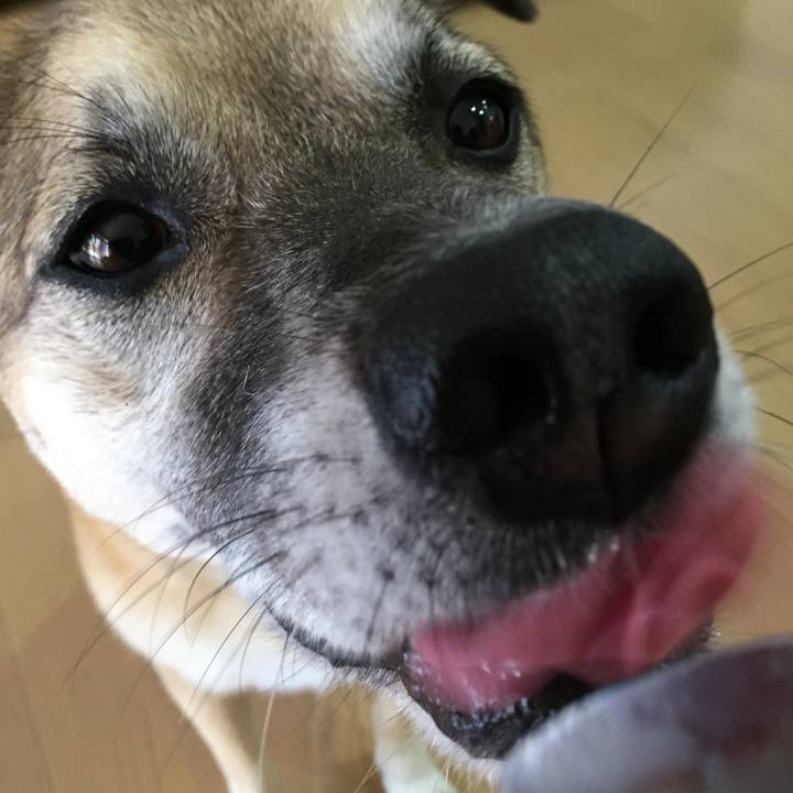 5c7d0d27 9231 43a6 84cf c63aad937917