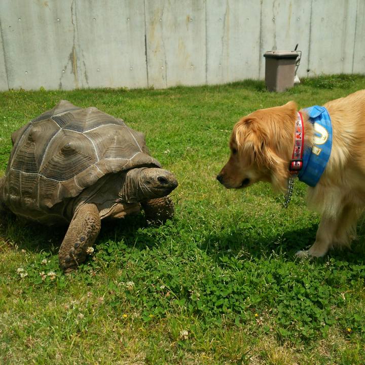 5c7d3063 7e0f 4fbb 9dd7 87277c3fb5e0