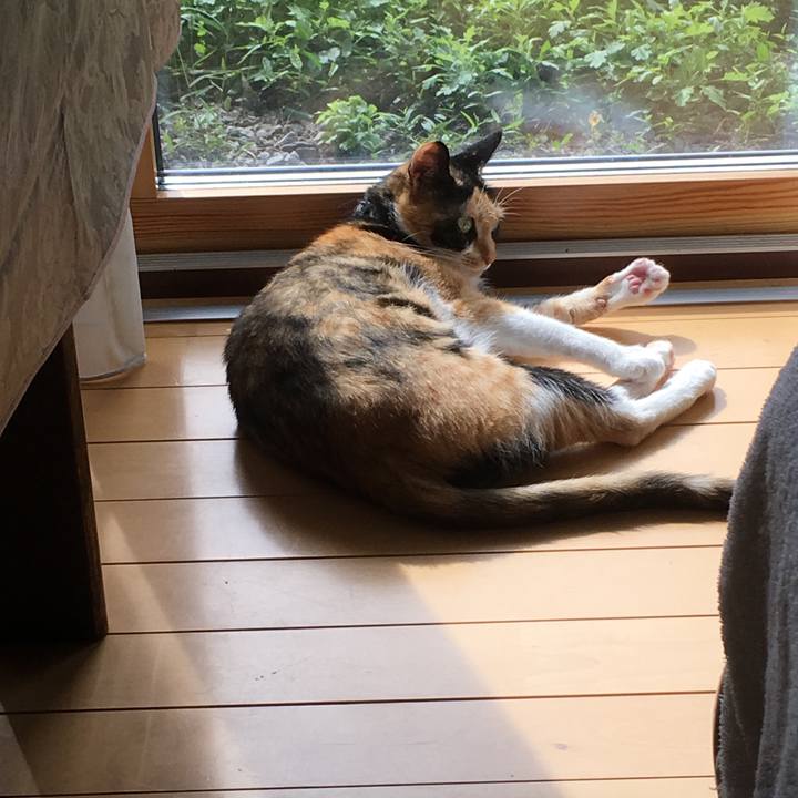 5c7d925b 0c5b 4af3 b8ec e48cd0a5abdf