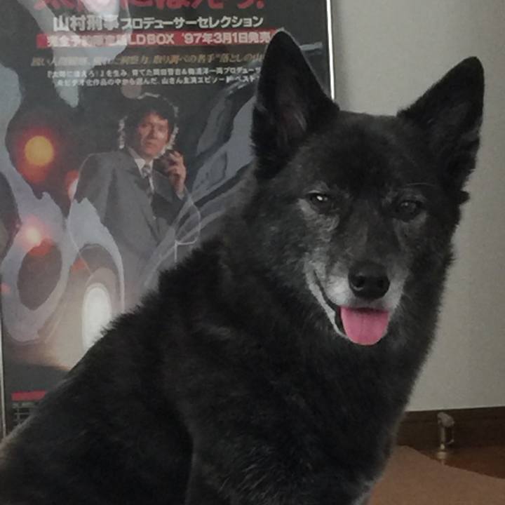 5c7e15fd f9d8 4800 a954 621bb9e12ed0