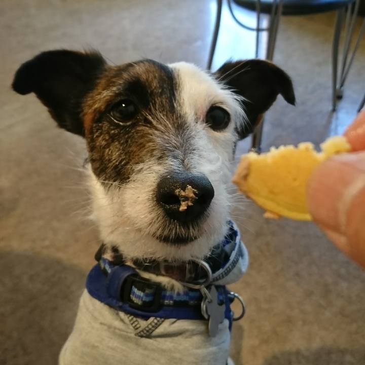 5c7e7649 4c10 4a71 b543 7d4b2caecbe8