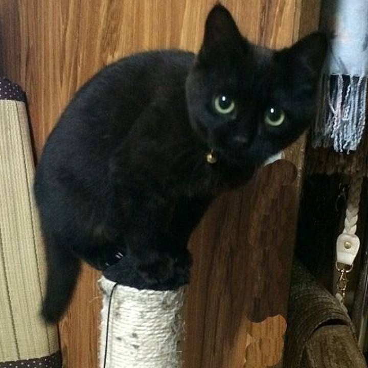 5c7f09ef 33f1 4f22 9c0c a3d1d364f31f