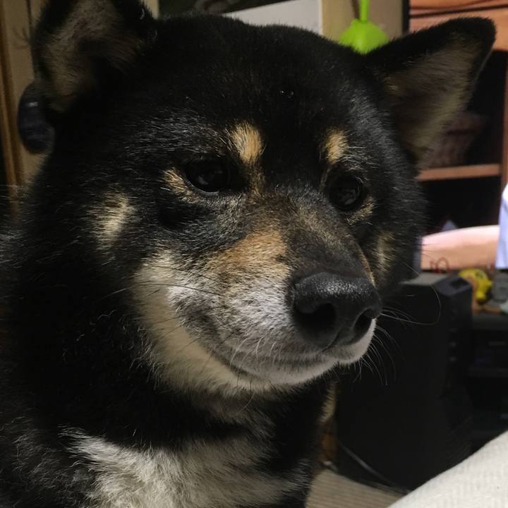 5c7f1eb4 6ab3 4f66 b09c b6ab407e9e43