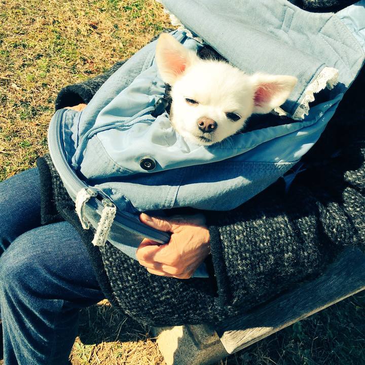 5c7f4b06 ff3d 4e6f 96be 92e3af534f8b