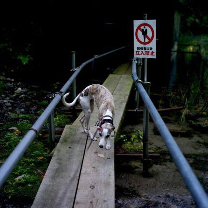 5c7fad10 d83f 45d7 9cca fd1da1304ca1