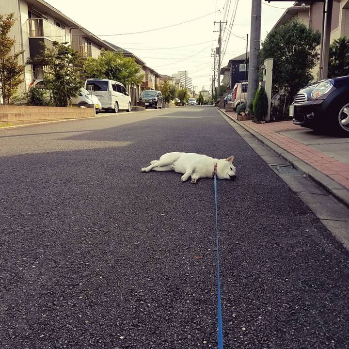 5c804368 e5b0 479e a9bd 0c8cbbcf9205