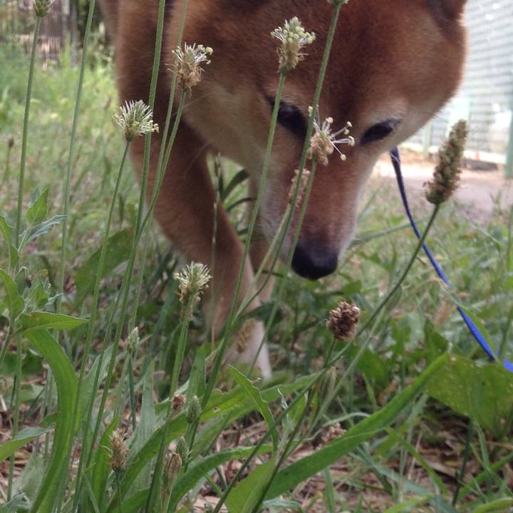 5c8043bf b7a1 4ca4 9cb1 7210c9913a38