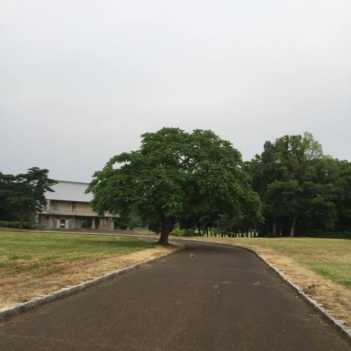 5c80b3e1 5b7c 47ec 9c6b adbcdec9a213