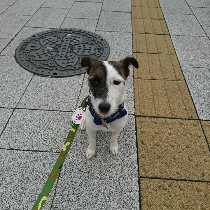 5c81d25f 43ad 4855 8b6b 0391d2a41525