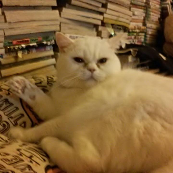 5c82440f 45fb 4740 9451 aed28d21e570