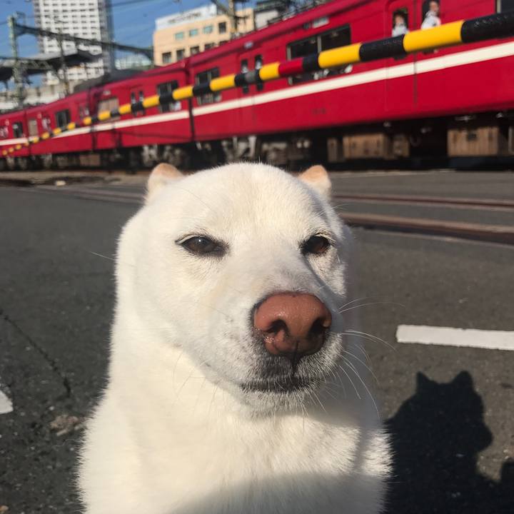 5c824b0e 1e4e 4ea2 8229 11c0ed623b1b