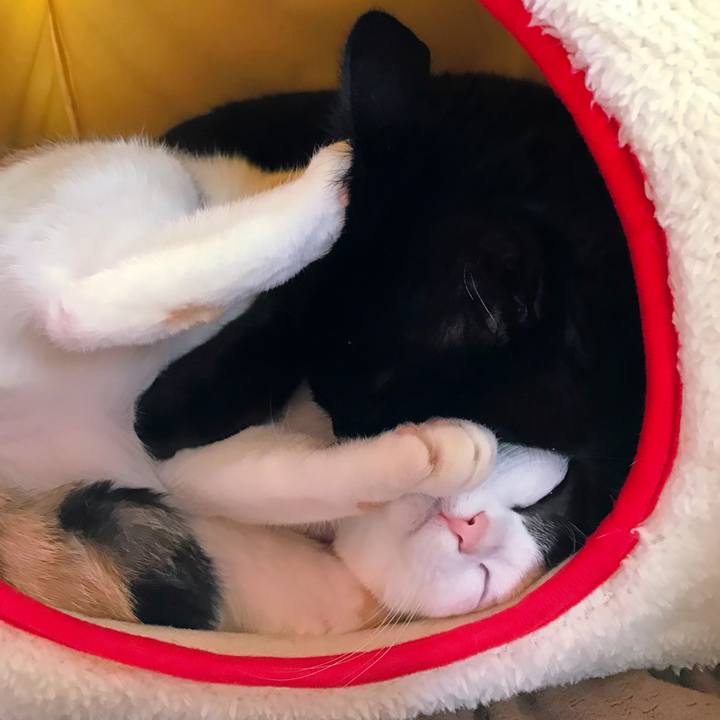 5c83496c 8df2 4b0d aff1 206e9538e422