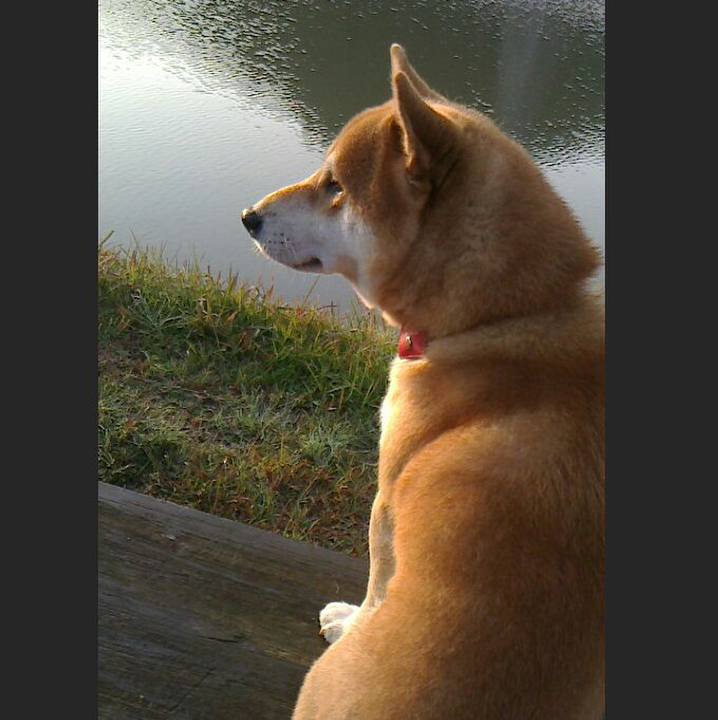 5c83e11e fe48 4fbb be01 19ea58af813c