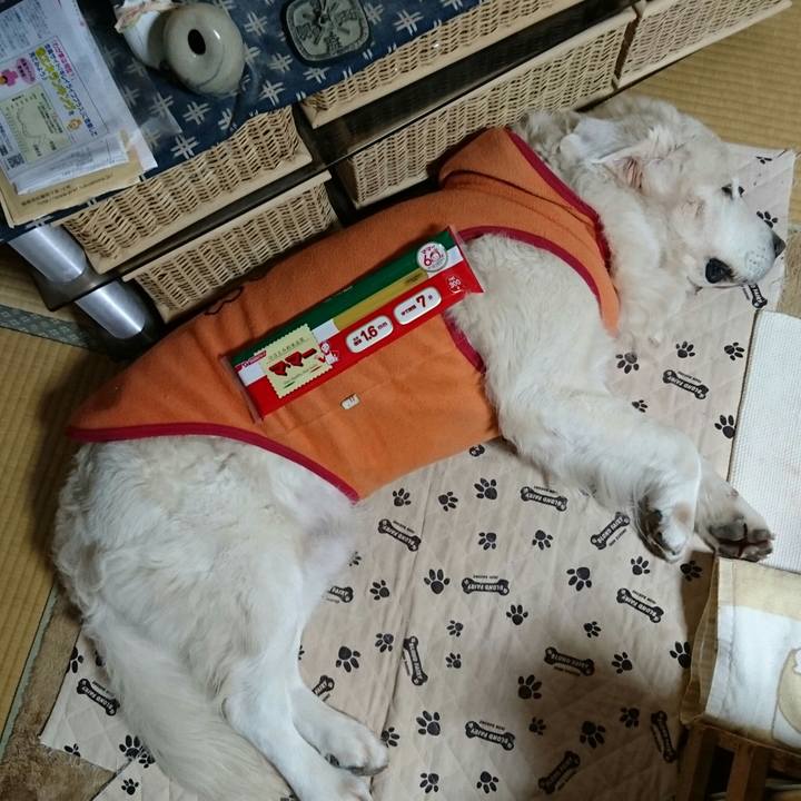 5c84232e 9efd 46bc a6d1 be2306c66cf3