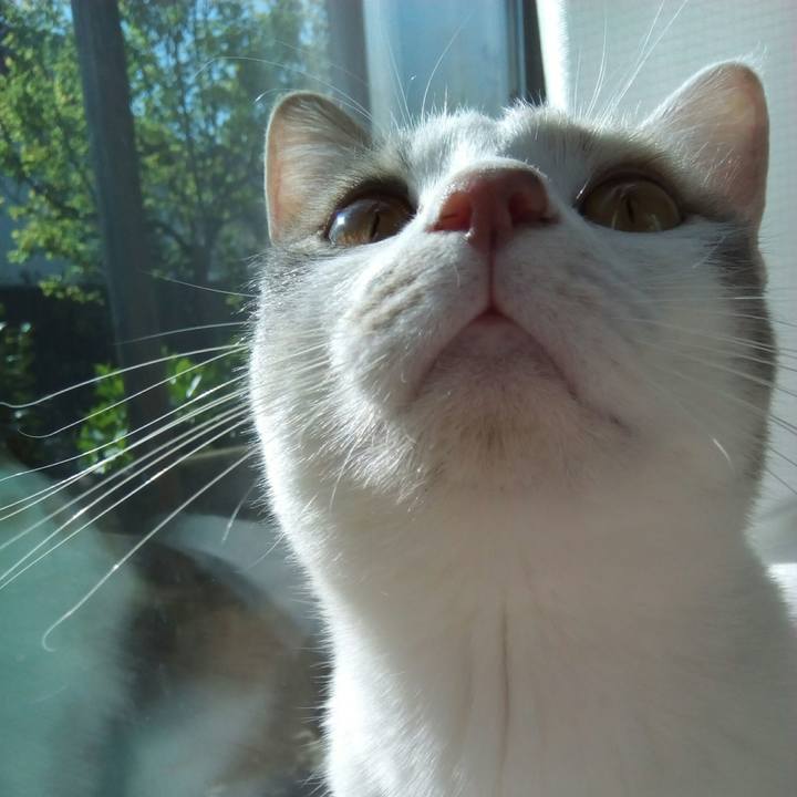 5c84e4a0 ee5d 467d b910 22d66db3aea6