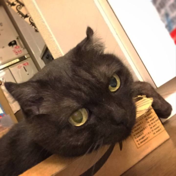 5c85fab2 c128 43d2 b7c7 54d0476d8de9