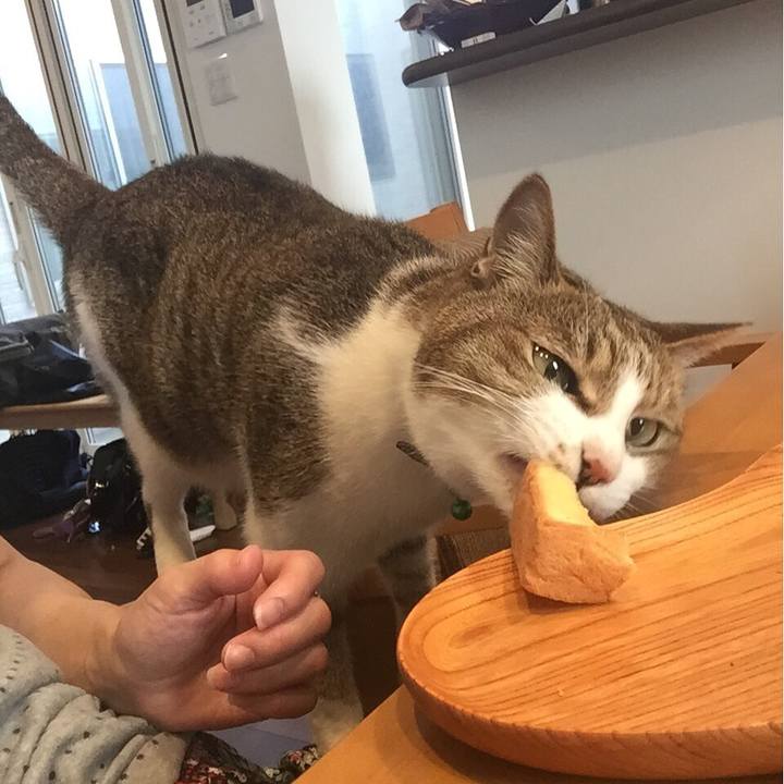 5c8699c7 74cb 4204 8712 6d046ae1f3d6