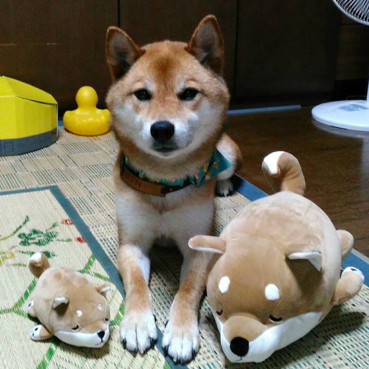 5c86ba88 1b9f 4b35 91e9 16055a95da23