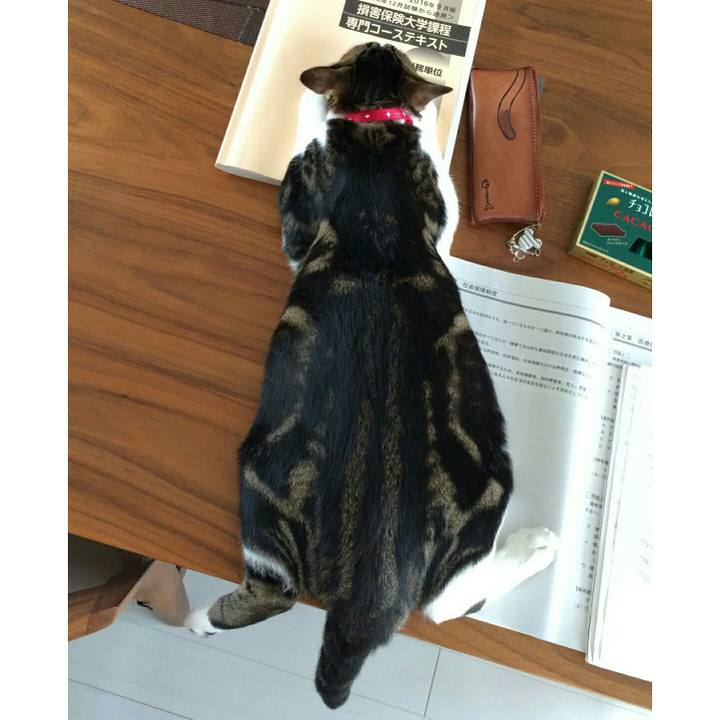 5c86bc90 a469 44ca a506 290f1e565145