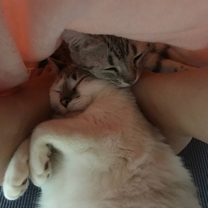 5c874f06 891f 4ff9 b77a 1a10331d2e46