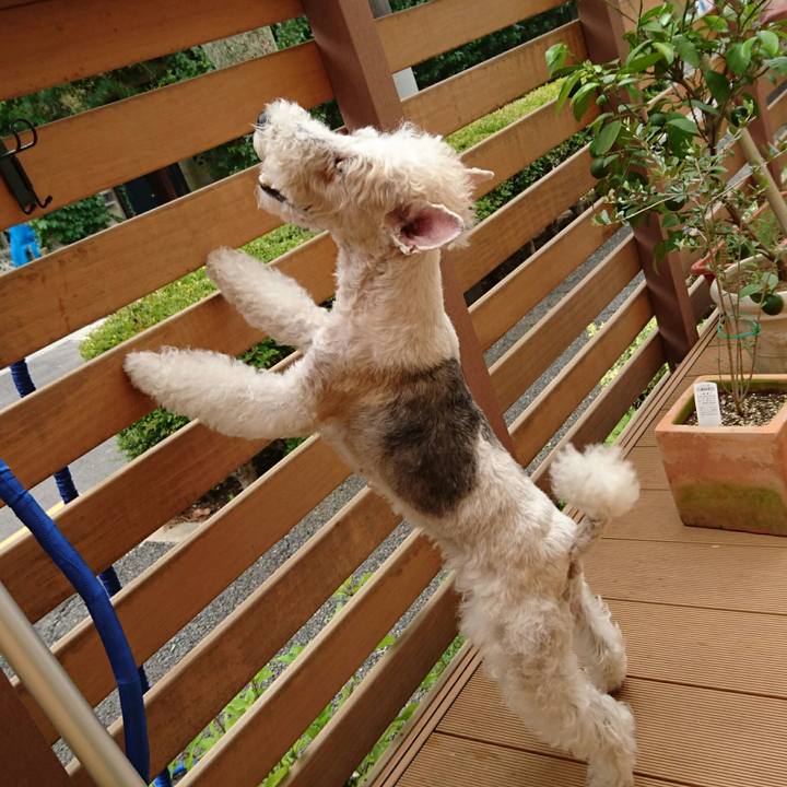 5c87f3d6 a6d3 4ecc b473 1cb549d78e77