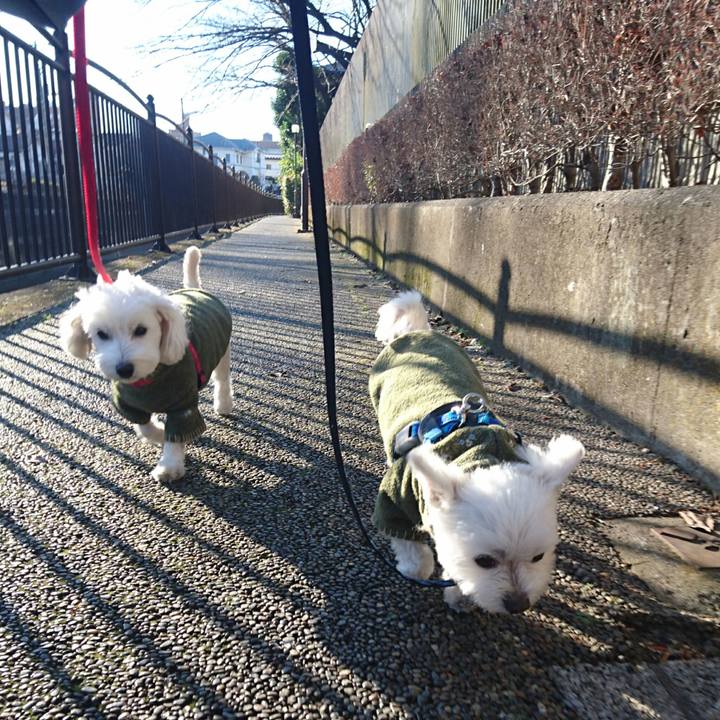 5c887e96 8305 43d9 8ff8 a971a7eb63dd