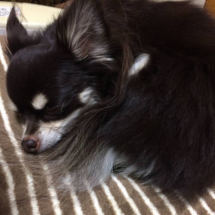 5c892217 424d 4811 9b72 0d827bf913ff