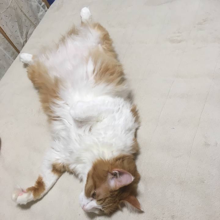 5c896545 48b2 4364 90c6 a5e72e199cf2