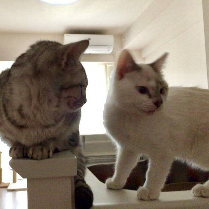 5c897cbf b050 440b 8fc7 789adf5a7b66